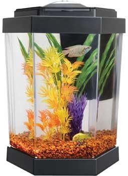 petco tanks
