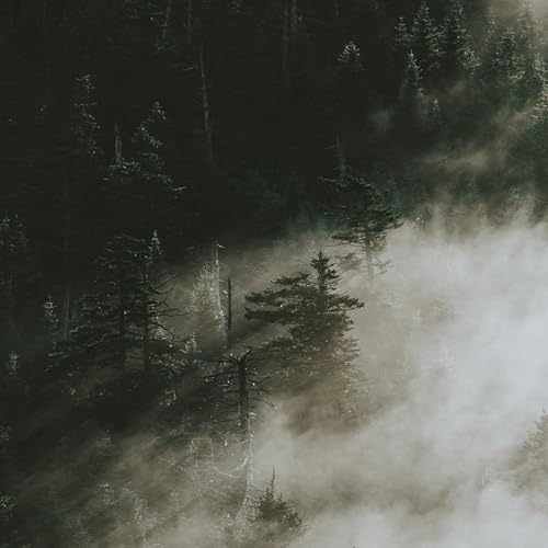 Subtle Lake & Quiet Divide