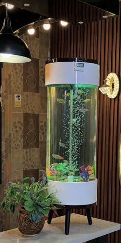 Image of MH9 55 Litre Smart Cylindrical Aquarium-Powerful Filter,Dual LED,Oxygen Bubble System,Water Drainage System,Switch Control,Digital Temp. Display,SS Leg Stand (33x33x100cm) White