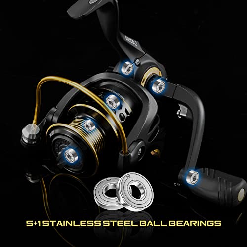 Mifine Karate Spinning Reel With Plastic Spare Spool,Fishing Reels Lightweight Ultra Smooth For Freshwater And Saltwater(Black Gold,Size 4000) #TOP2