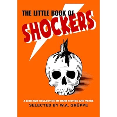Little Book of Shockers: Quick Frights & Deadly Nights
