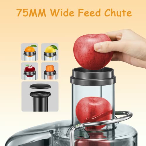 product-details