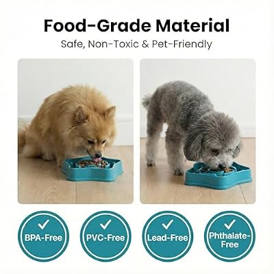 Pet Slow Feeder Bowl for Small Dogs, Puzzle Feeder for Petite Dogs, Anti-Choking, Slow Eating, 350ML Capacity, BPA-Free, Small Size