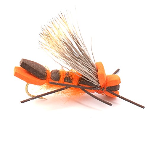 The Fly Fishing Place Basics Collection - Foam Hoppers Dry Fly Assortment #2 - 10 Dry Fishing Grasshopper Flies - 5 Patterns - Hook Size 10 #TOP5