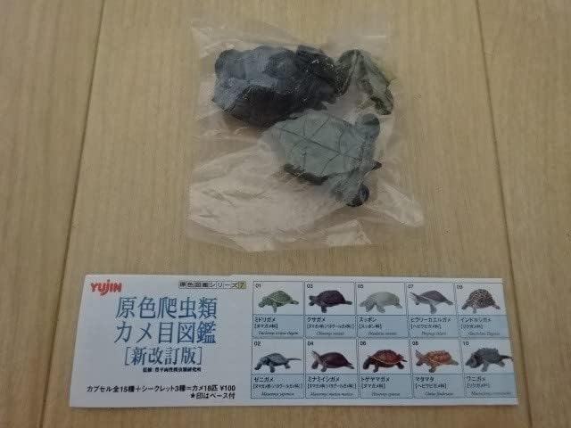 原色爬虫類カメ目図鑑 新改訂版 ガラパゴスゾウガメ フィギュア ユージン ガシャポン カメ かめ 亀