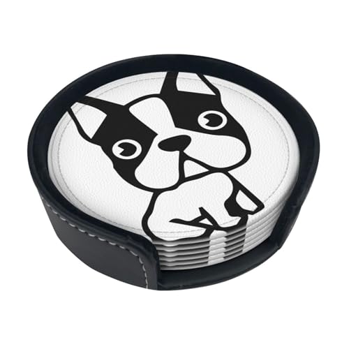 �R�[�X�^�[ �G���q�� ��������� �{�X�g���e���A �ڋ��M�t�g ������� �J�W���A�� �z������ Pu �Ȗ���� �~�^ �J�b�v�z���_�[ ���I�̐��H�h�~ �L�b�`�� �V�z�j�� 6��/�Z�b�g ���[�P�[�X�t��