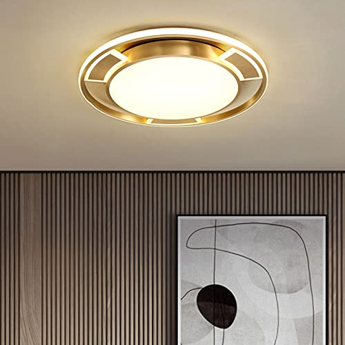 Plafonnier doré 65W variable au design circulaire créatif pour éclairage salon