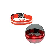 Collier pour animal de compagnie : avec un design lumineux LED et une haute visibilité dans l'obscurité, il peut sauver la vie de votre animal lorsqu'il est en danger.