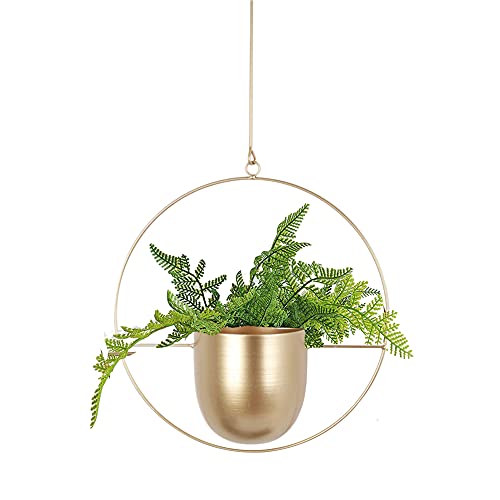 TENMEDARY Blumentopf Hängend Metall Blumenampel Schwarz Hängetopf für Pflanzen Übertopf Hängend für Außen Innen Terrasse Balkon Zimmerpflanzen, Sukkulenten, Luftpflanzen (Goldener Rund)