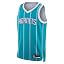 Charlotte Hornets Teal Icon Edition