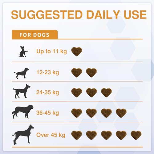 Senior Dog Joint Supplements with Glucosamine Chondroitin MSM - Hip & Joint Support for Dogs with Green Lipped Mussel, Turmeric, Omega 3 for Mobility & Comfort - Beef Flavour Dog Supplements - Image 6