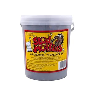 S1060 Stud Muffins Horse Treats, 60 Oz Bucket