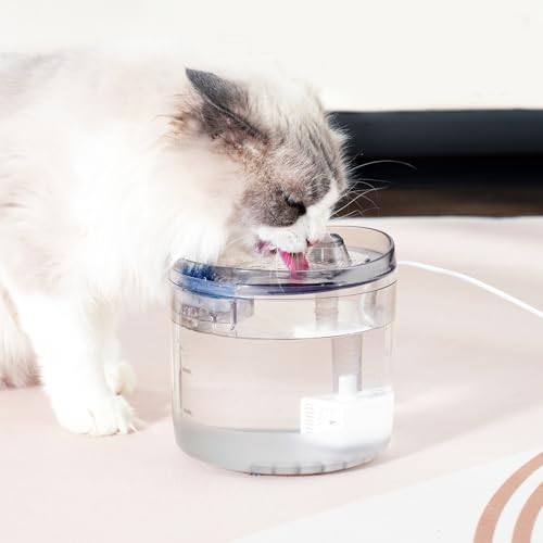 Dispensador de agua para gatos eléctrico y silencioso que mantiene el flujo fresco continuo 4