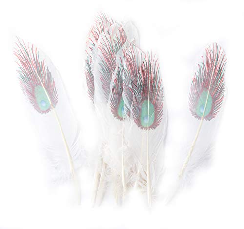Colorful Goose Feathers, for DIY Craft Wedding Home Party Decorations 20pcs/Pack/ (6-9.5 inch) (Peacock Printed)
