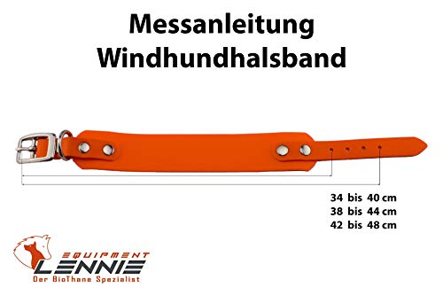LENNIE 50mm breites Biothane Wind-Hunde-Halsband, Doppelstegschnalle, personalisiert mit Namen/Telefonnummer, schmutz-Wasser-abweisend