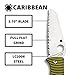 Spyderco Caribbean Salt Sheepfoot Knife with 3.70