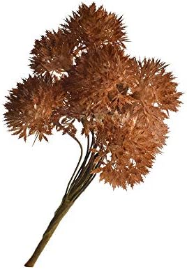 Homeford Rustic Country Style Gumball Floral Pick, 10-Inch