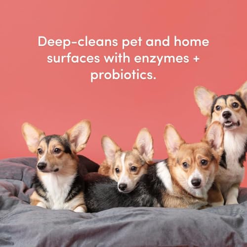 Image of Clean Revolution SuperCharged All Purpose Cleaner Refill with Smart Probiotic + Enzyme Complex, Multi-Surface Kitchen Bathroom & Floor Cleaner, Geranium Mint, 64 Fl oz (Pack of 1)