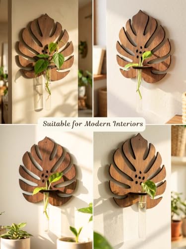 Image of Bombay Greens ; Sow, grow, eat, repeat Monstera Planter with Test Tube Wooden Holder | Indoor Planter Stand | Wooden Planter for Home Decor, Living Room, Balcony & Office Decoration - 1 Pc