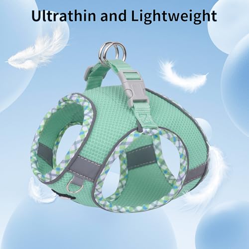 AIITLE Durable Hundegeschirr und Leine Set für Spaziergänge, Schritt in Welpengeschirr, weiche atmungsaktive Haustier Zubehör, reflektierende Bänder, für extra kleine Hunde und Hauskatzen Türkis XXXS