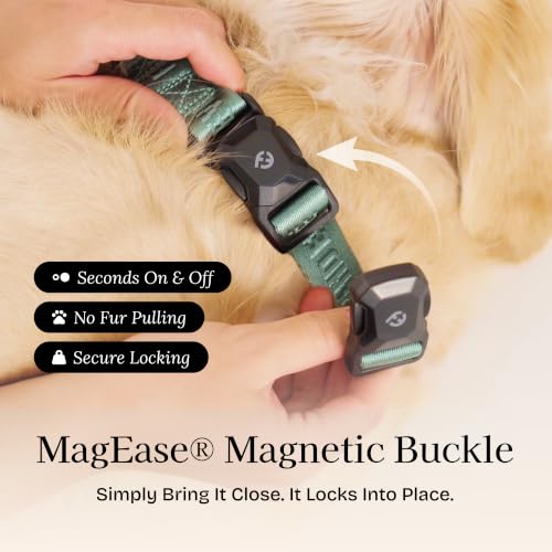 Collar para perro mediano Fei & Eve clásico verde glaciar miniatura 2