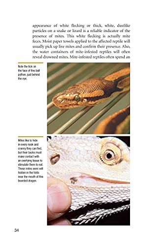 Understanding Reptile Parasites (Advanced Vivarium Systems)