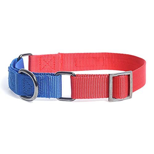 Image of HUFT Martingale Adjustable Dog Collar - Red and Navy (L) | Adjustable Dog Collar for Medium Dogs, Small Dogs & Puppies | Durable Dog Belt with Leash-Compatible Design for All Breeds