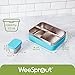 WeeSprout 18/8 Stainless Steel Bento Box (Compact Lunch Box) - 3 Compartment Metal Lunch Containers, Skid-proof Silicone Sleeve, for Kids & Adults, Bonus Dip Container, Fits in Lunch Bag & Backpack