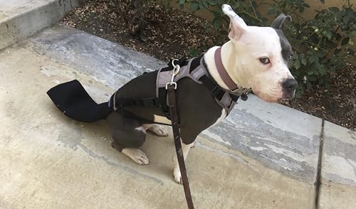 Image of Tail Guard & Harness Set - Veterinary Dog Tail Protector & Injury Wrap, Size XXL