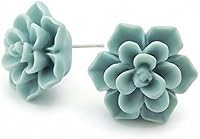 Vista 23 de Aretes hipoalergénicos de suculentas Pretty Smart para orejas sensibles