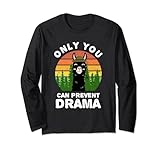 Only you can prevent drama