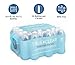 True Clear Purified Drinking Water, 16.9 fl oz Bottles, 24‑Pack, BPA‑Free, Recyclable, Perfect for Lunches