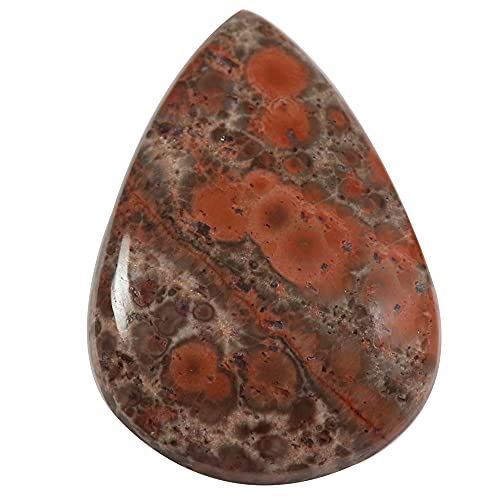 Jaspe rouge cabochon naturel 33 carats Ow13-B09BR2J3DN pierre polie