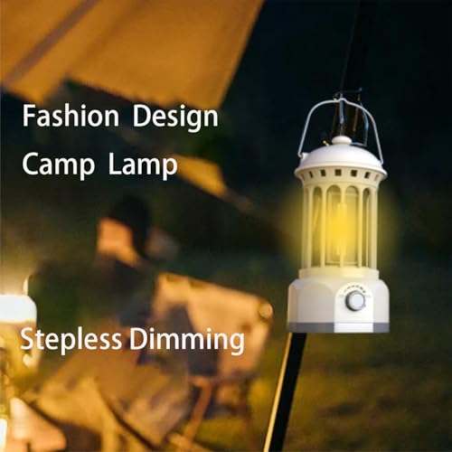 Lampe portable ABS robuste avec finitions de terre chromed éclairage variable - 7