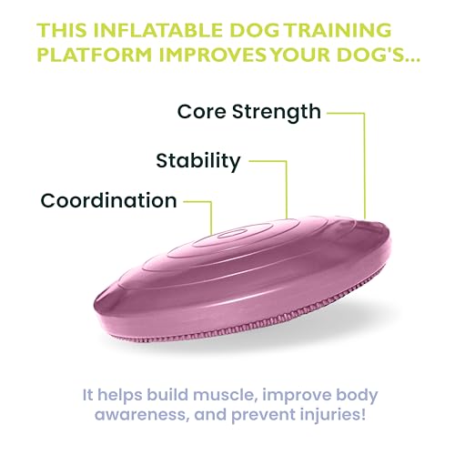 Fitpaws Balance-Disc für Hunde, 14', Violett