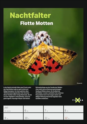 Terra X - Das Wunder Erde Wochenplaner 2026: 53 Blatt mit spannenden Naturphänomenen und atemberaubender Landschaftsfotografie. Geheimnisvolle Natur im praktischen Wandplaner (Wochenplaner Harenberg)