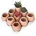 Adorable Set of 9 Brown Eggs Design Ceramic Succulent Planters / Mini Decorative Pots w/ Tray - MyGift