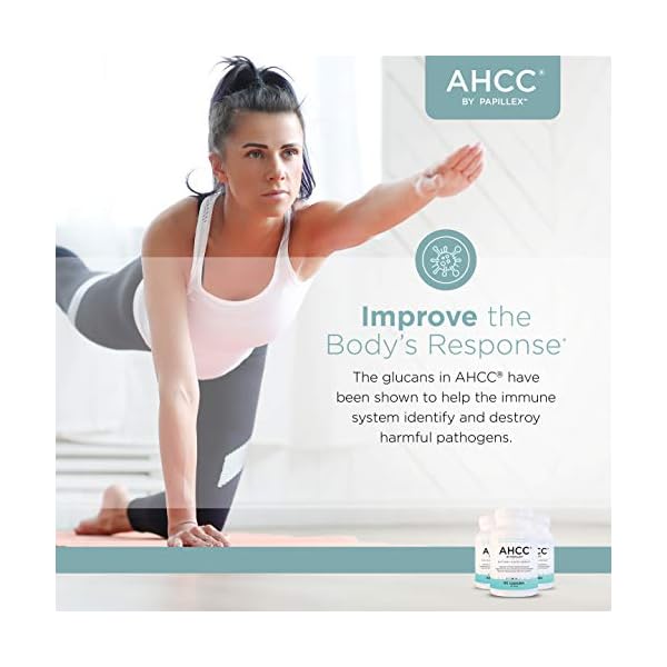 Papillex-AHCC-Supplement-Maximum-Strength-Natural-Immune-Support-Extract-Maintains-Natural-Killer-Cell-Activity-20-Human-Research-Studies-60-Veggie-Capsules-6-Pack Papillex AHCC Supplement - Maximum Strength - Natural Immune Support Extract - Maintains Natural Killer Cell Activity - 20+ Human Research Studies - 60 Veggie Capsules (6 Pack)