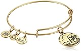Alex and Ani Places We Love Russian Washington D.C. II Expandable Wire Bangle Bracelet, 7.25