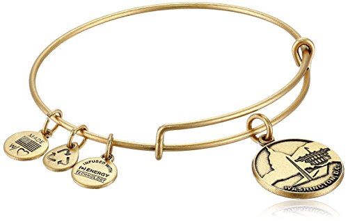 Alex and Ani Places We Love Russian Washington D.C. II Expandable Wire Bangle Bracelet, 7.25