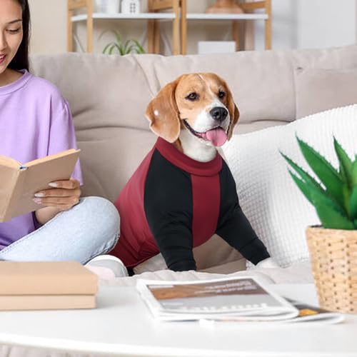 Hjyokuso Hundeoverall Mit Beinen, Hundeschlafanzüge, Hundepyjama Für Kleine Hunde, Hunde Schlafanzug Mit Reißverschluss, Body Hund Nach Op Für Chihuahua, Pomeranian, Yorkshire Terrier, Bichon Frisé