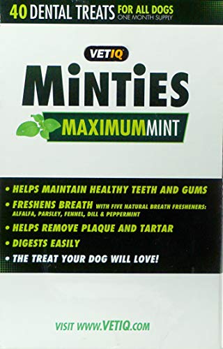 Image of VetIQ Minties Dog Treat