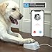 iPupPee: Dog Potty Training Talking Button & Service Dog Medical Alert System. Instant Notifications. 24/7 Live Camera. 2-Way Speaker. iOS & Android Compatible. No Subscription Needed.