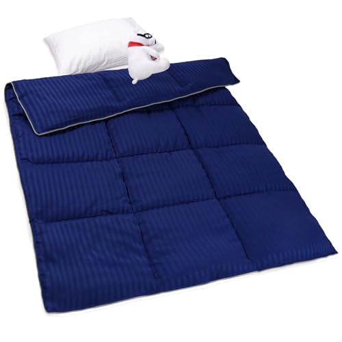 Image of ZPECC Toddler Down Alternative Comforter, 39x47 Hypoallergenic Baby Blanket Quilt, Soft Breathable Lightweight All Season Kids Duvet Insert for Crib Stroller Cot Daycare, Blue Stripe