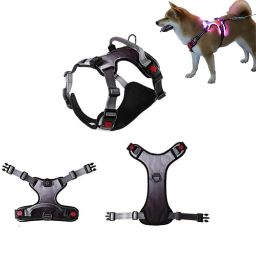 GIIPET 光る犬用ハーネス【2025最新・USB充電式・LEDライト付き・4点調節可能】犬 ハーネス 光るハーネス 高い視認性 安全対策 犬用胴輪 快適な 通気性 軽量 犬 ライト 散歩用 お出かけ用/夜間散歩/訓練/犬用ベストハーネス 小型犬 大中型