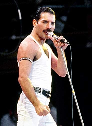 Freddie mercury star studded belt Clearance