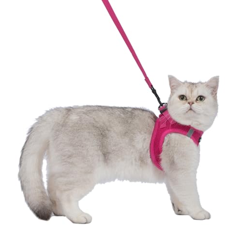 Image of Voyager Step-in Pet Harness - All Weather Mesh, Adjustable Step in Harness for Cats and Dogs by Best Pet Supplies - 307S Fuchsia, XXXS