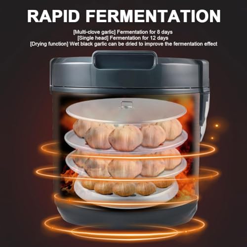Boîte fermentation ail noir 6L cuiseur automatique maison - 4