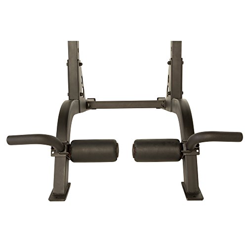 Fitness Reality X-Class High Capacity Multi-Function Power Tower