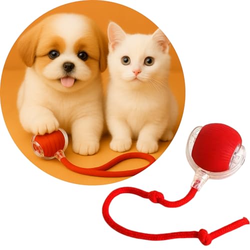 Bola Interativa para Pet, Bolinha De Brinquedo Elétrica Para Gatos e Cachorros, Com Sensor De Movimento, 3 Modos De Rolagem, Recarregável Via USB